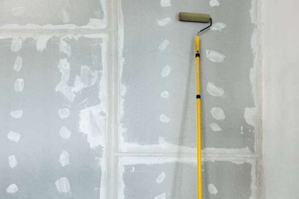 Best Drywall Texturing  in Apple Valley, MN