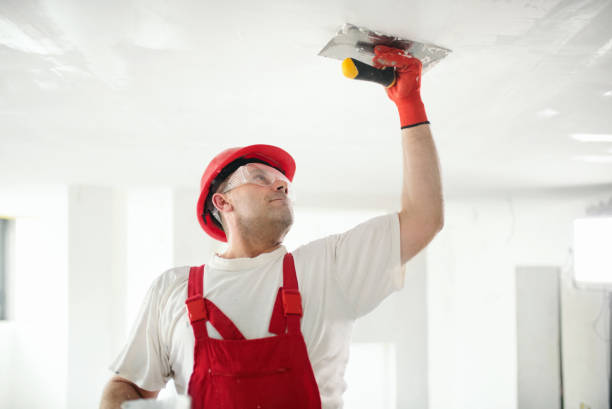  Apple Valley, MN Dry wall and painting Pros