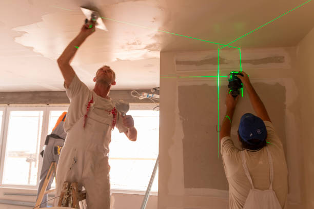 Best Drywall Removal and Disposal  in Apple Valley, MN